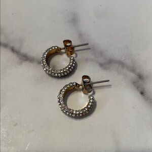 Elegant Gold and Silver Hoop Earrings